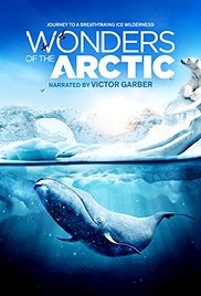 Watch Free Wonders of the Arctic 3D (2014)