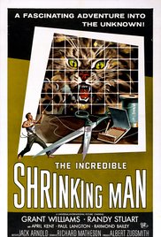 Watch Free The Incredible Shrinking Man (1957)