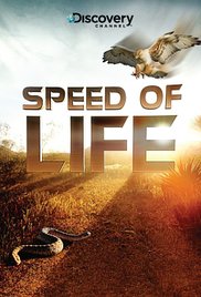 Watch Free Speed of Life (2010)