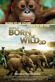 Watch Free Born to Be Wild (2011)