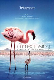 Watch Free The Crimson Wing: Mystery of the Flamingos (2008